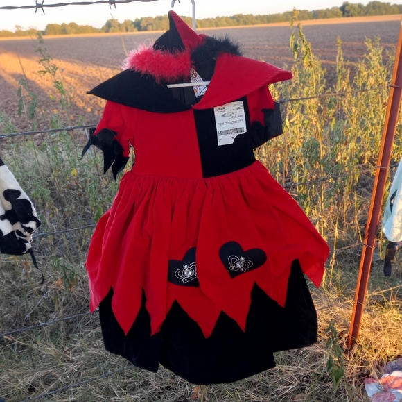 Size 4 Girls Rare "Queen of Hearts" Costume/DressUp Dress - Picture 1 of 10
